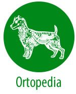 icones_especialidades_01