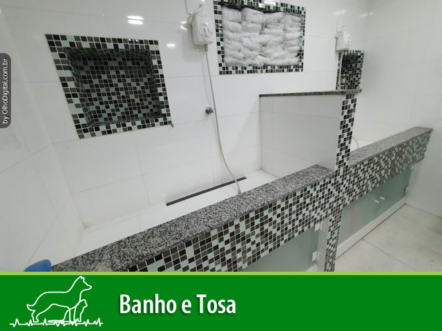 Cãobelereiro banho e tosa - Banho E Tosa em Jardins do Cerrado 7